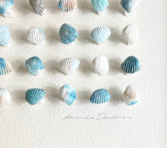 BEACHCOMBER - AQUA BREEZE