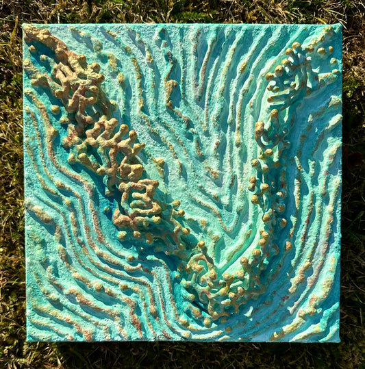 TIDAL GROWTH