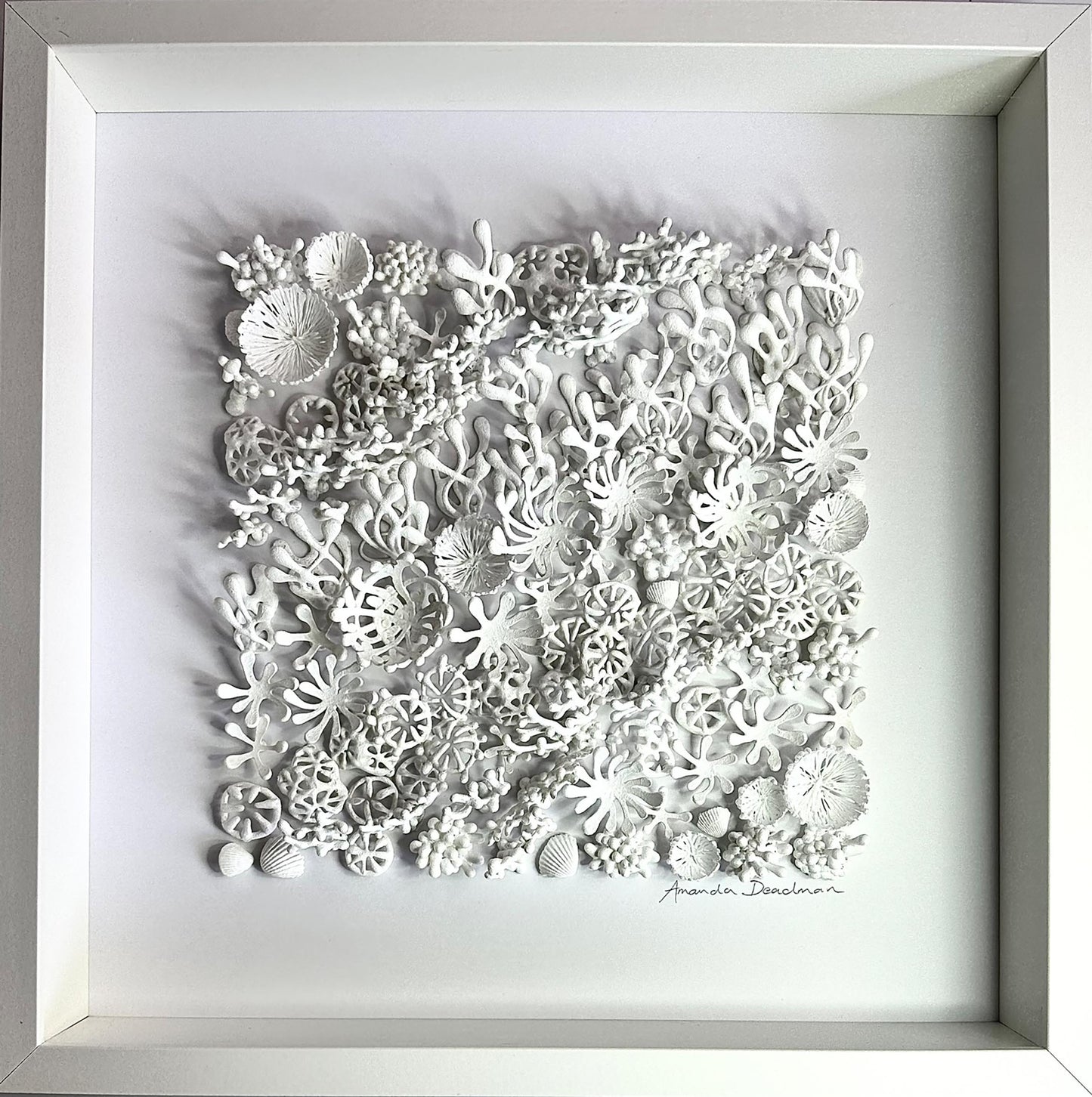 REEF