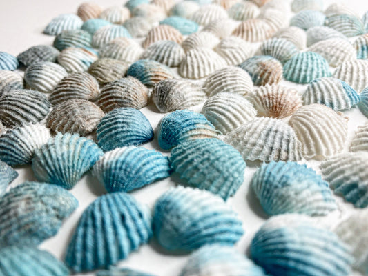 BEACHCOMBER - AQUA BREEZE