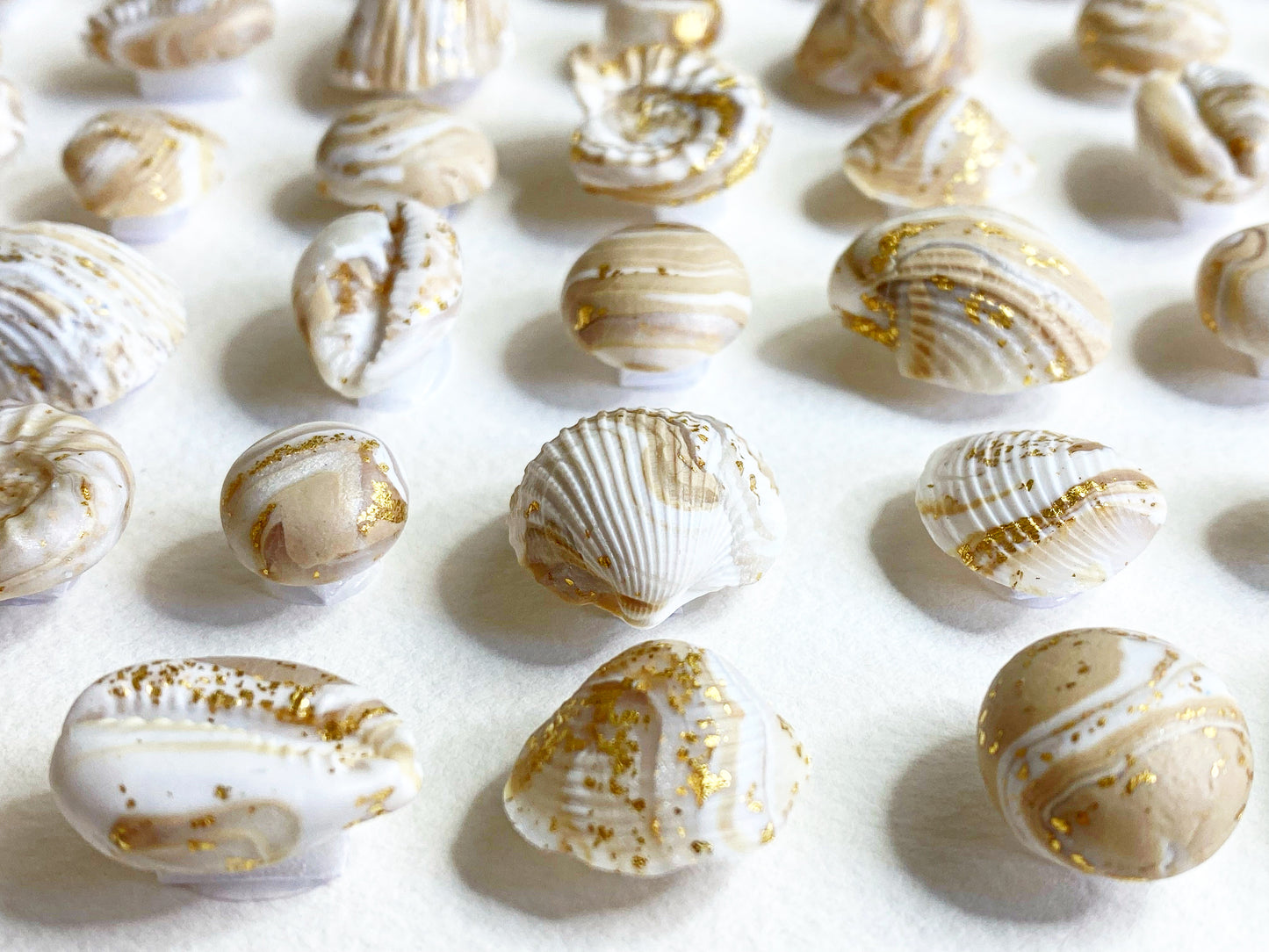 COASTAL RICHES