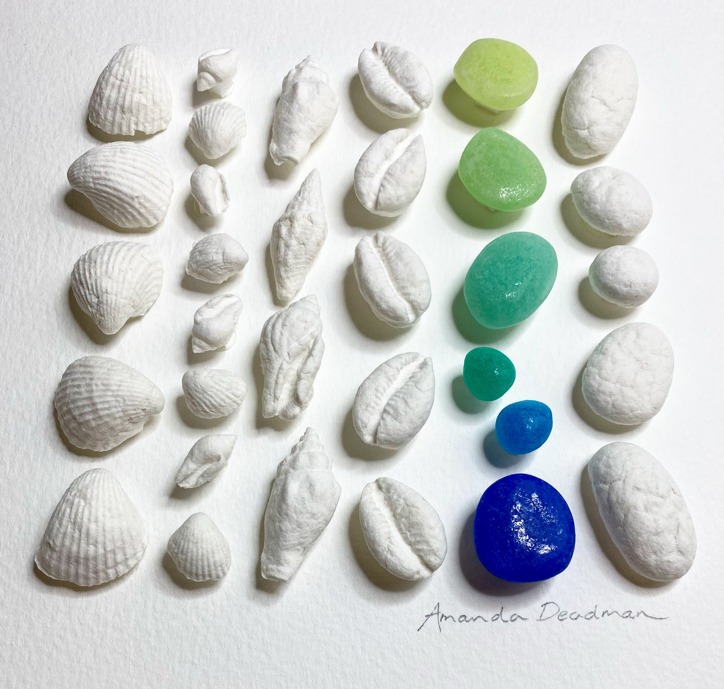 COAST LINES
