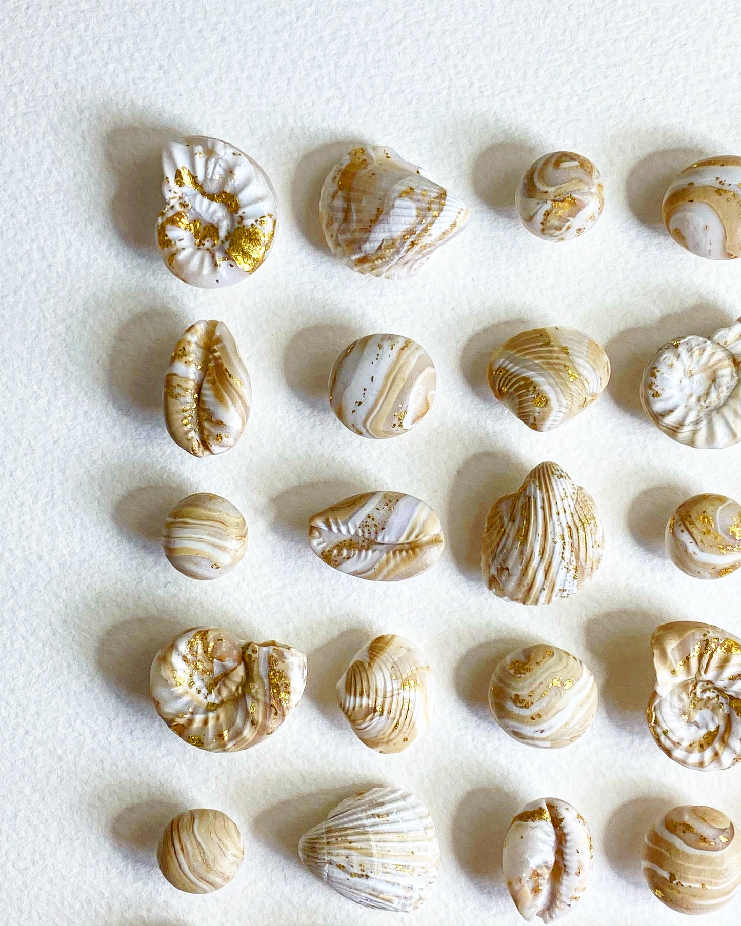 COASTAL RICHES