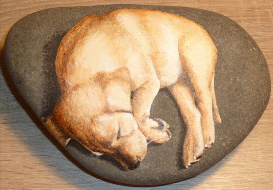 COMMISSIONED DOG PORTRAIT ON STONE