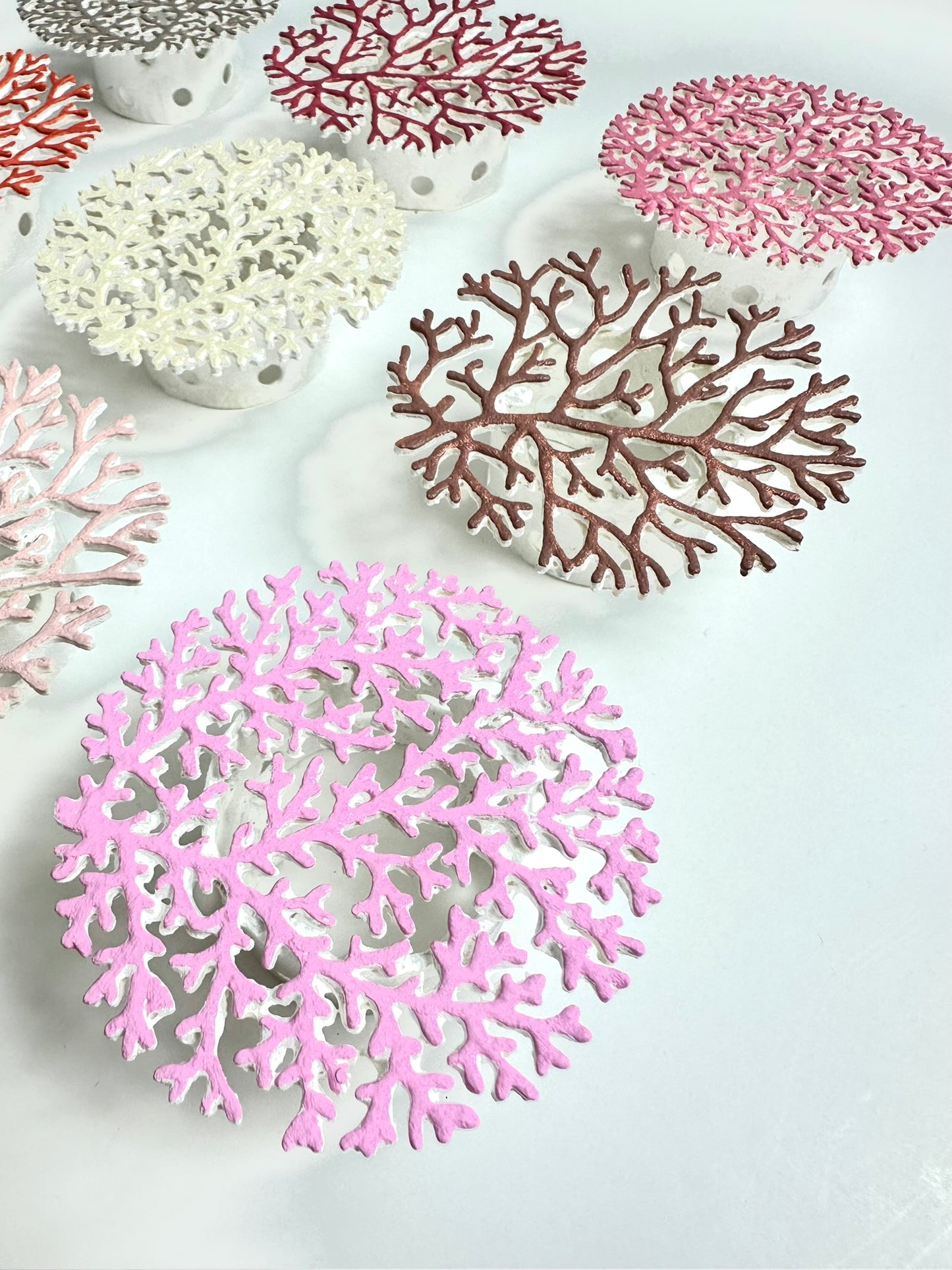 CORALLIUM - MOCHA MOUSSE ON WHITE