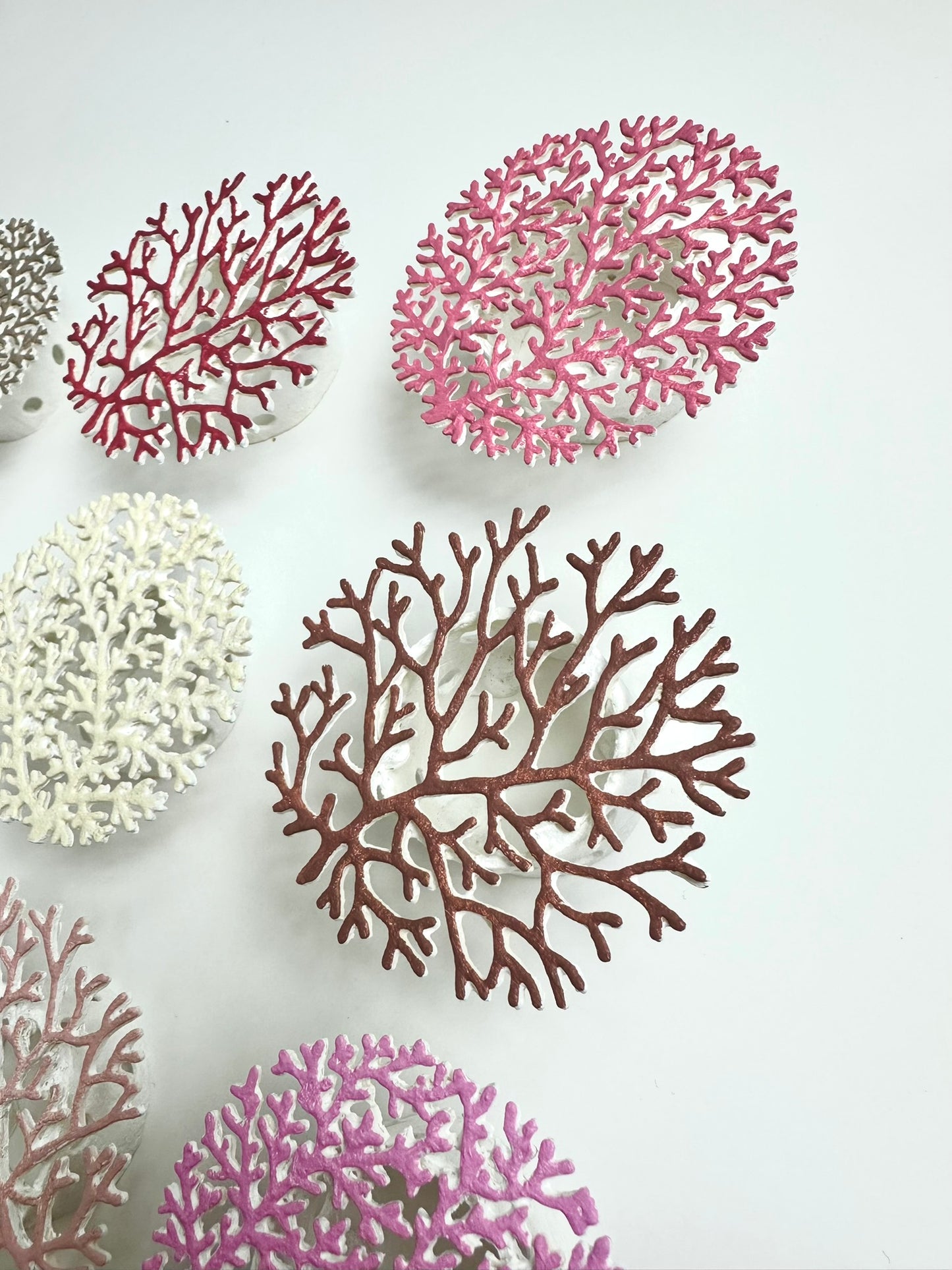 CORALLIUM - MOCHA MOUSSE ON WHITE