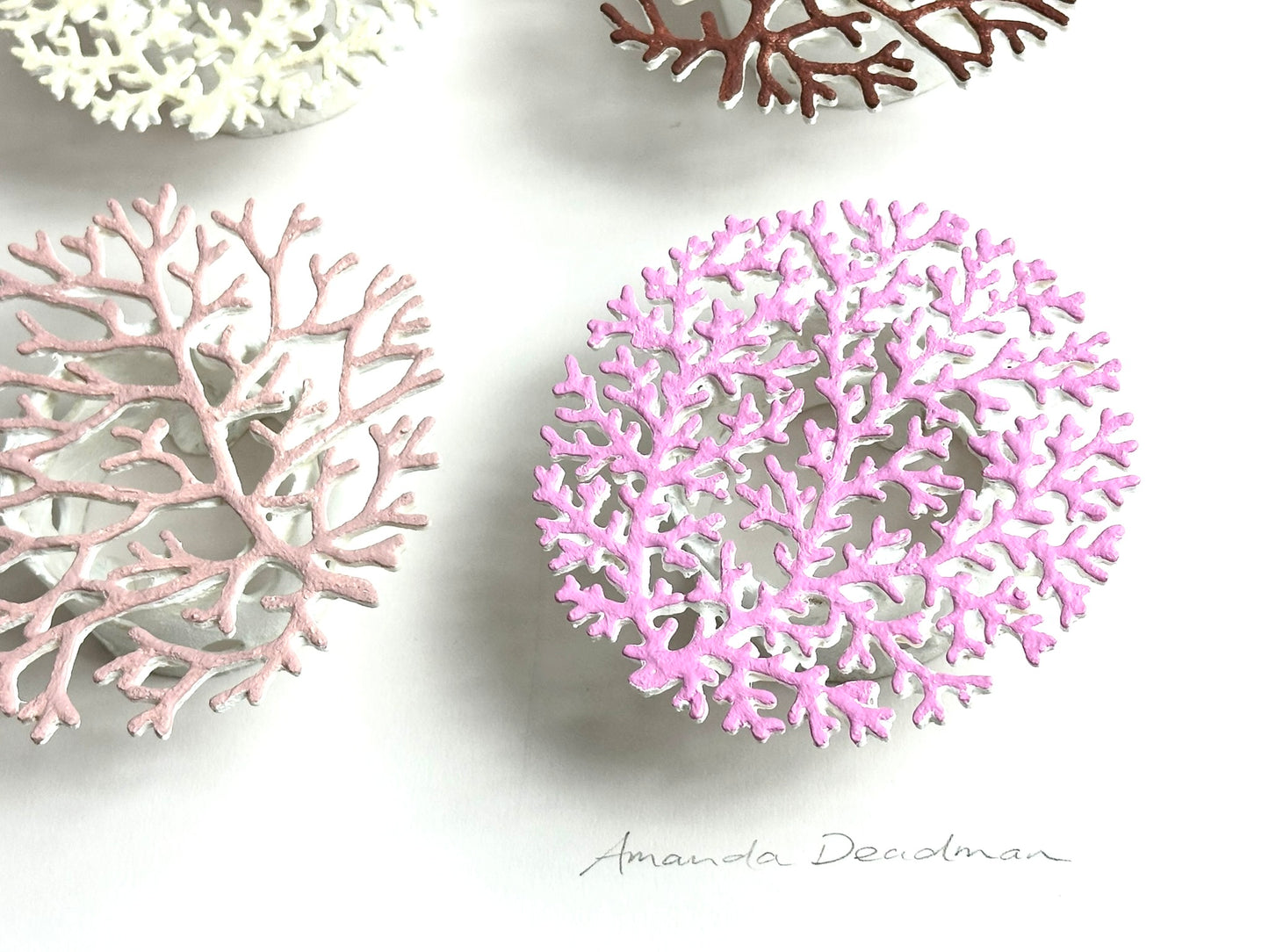 CORALLIUM - MOCHA MOUSSE ON WHITE