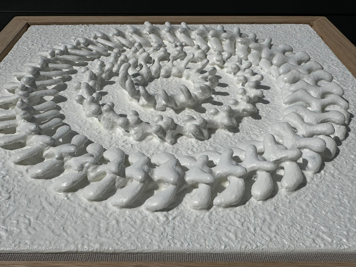 BONE SHAPING