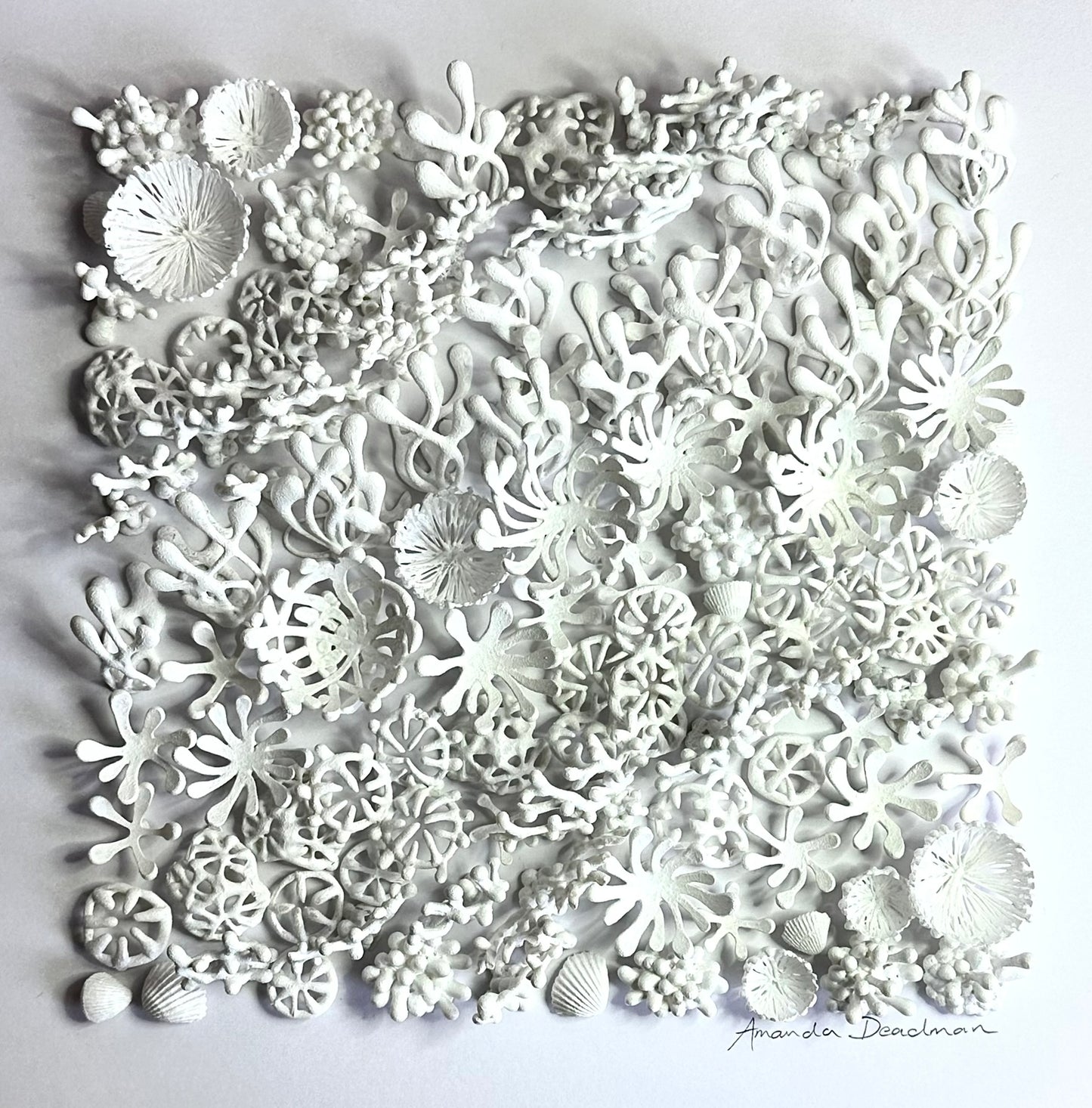 REEF