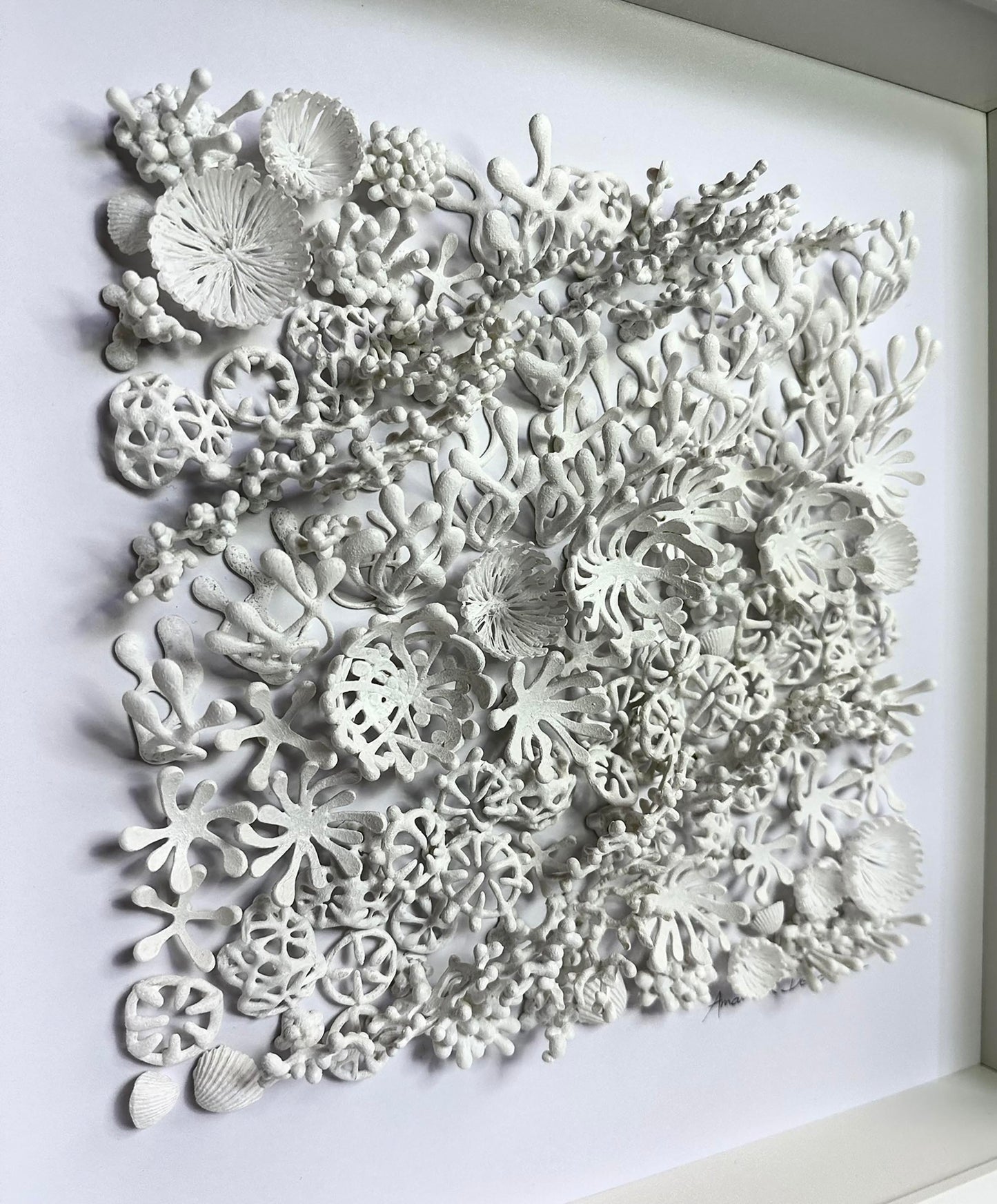 REEF