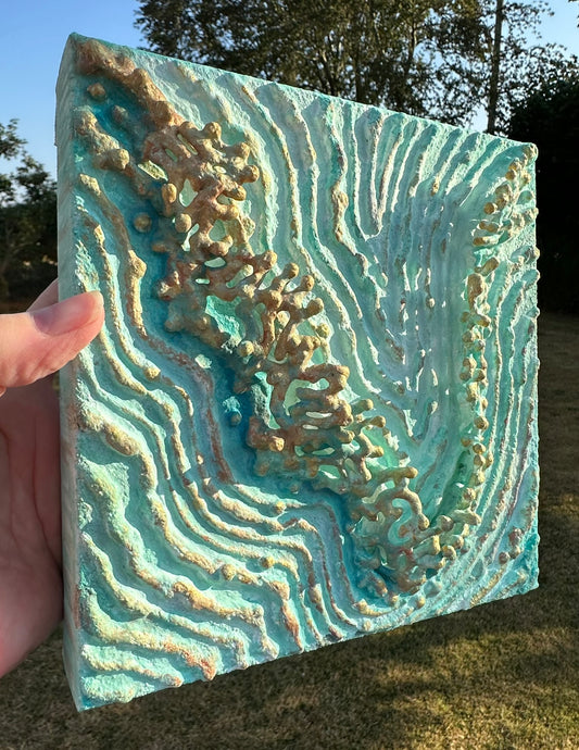 TIDAL GROWTH