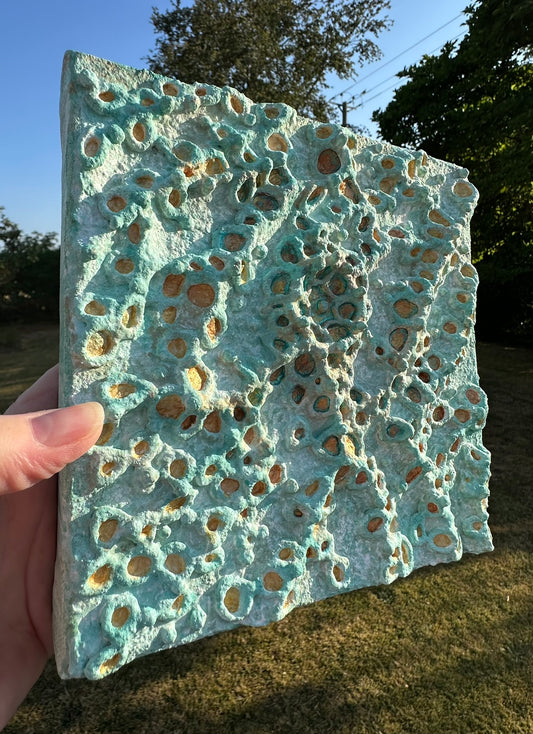 CLUSTER BLOOM