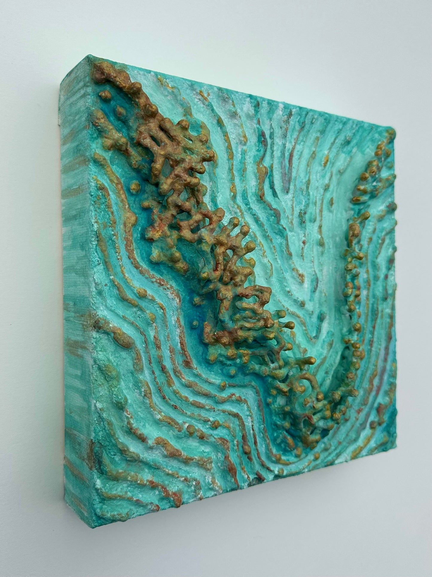 TIDAL GROWTH