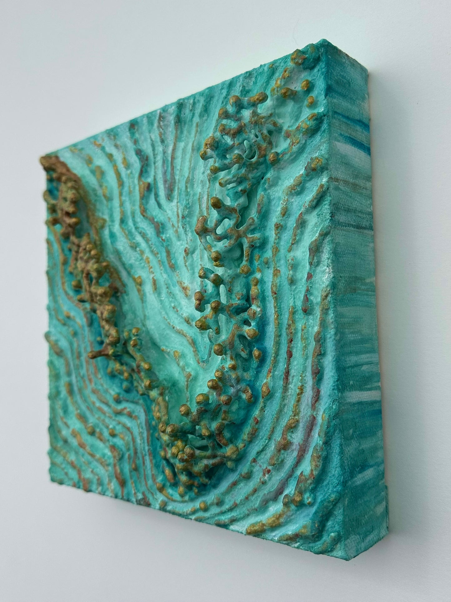 TIDAL GROWTH
