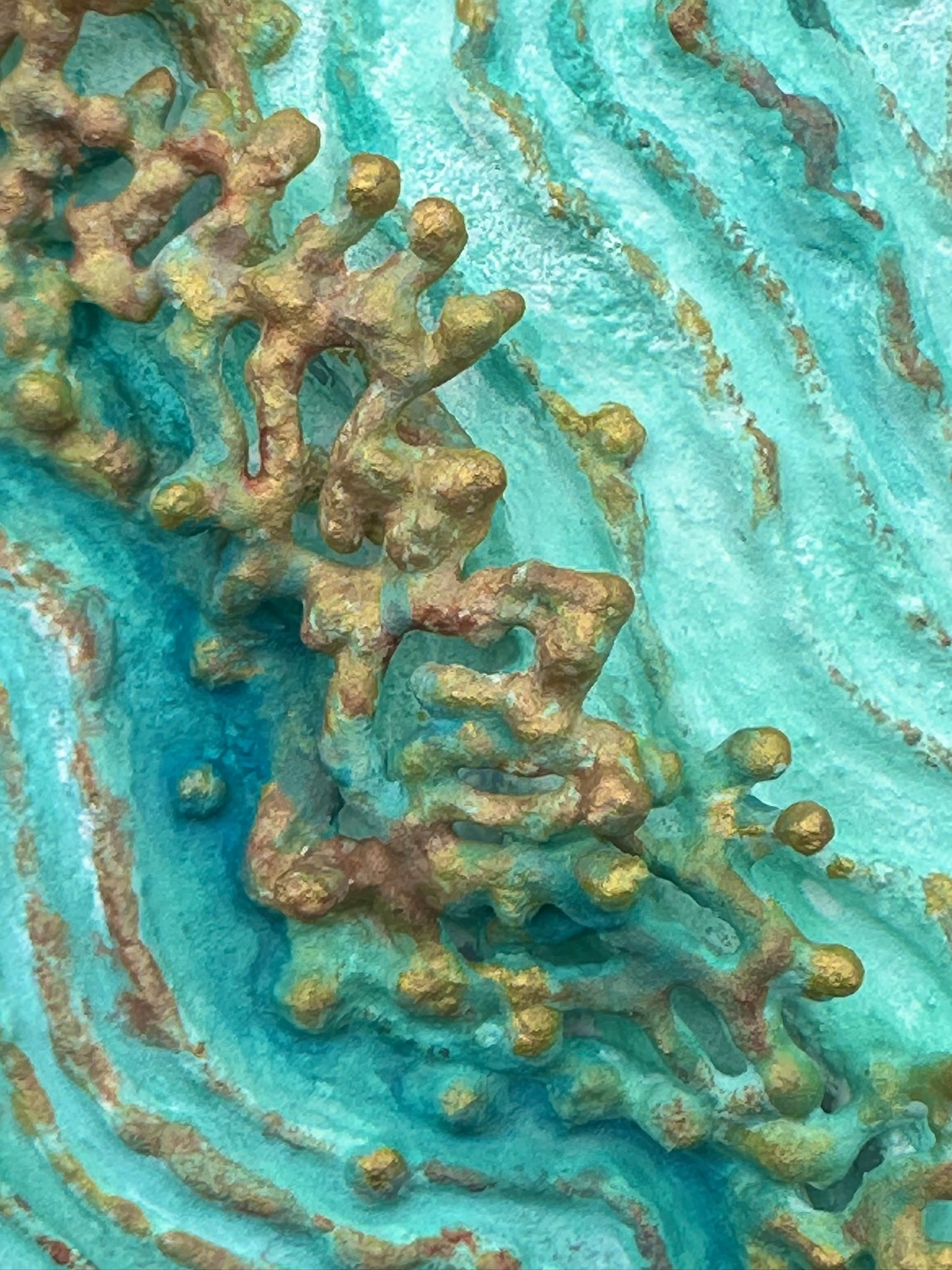 TIDAL GROWTH