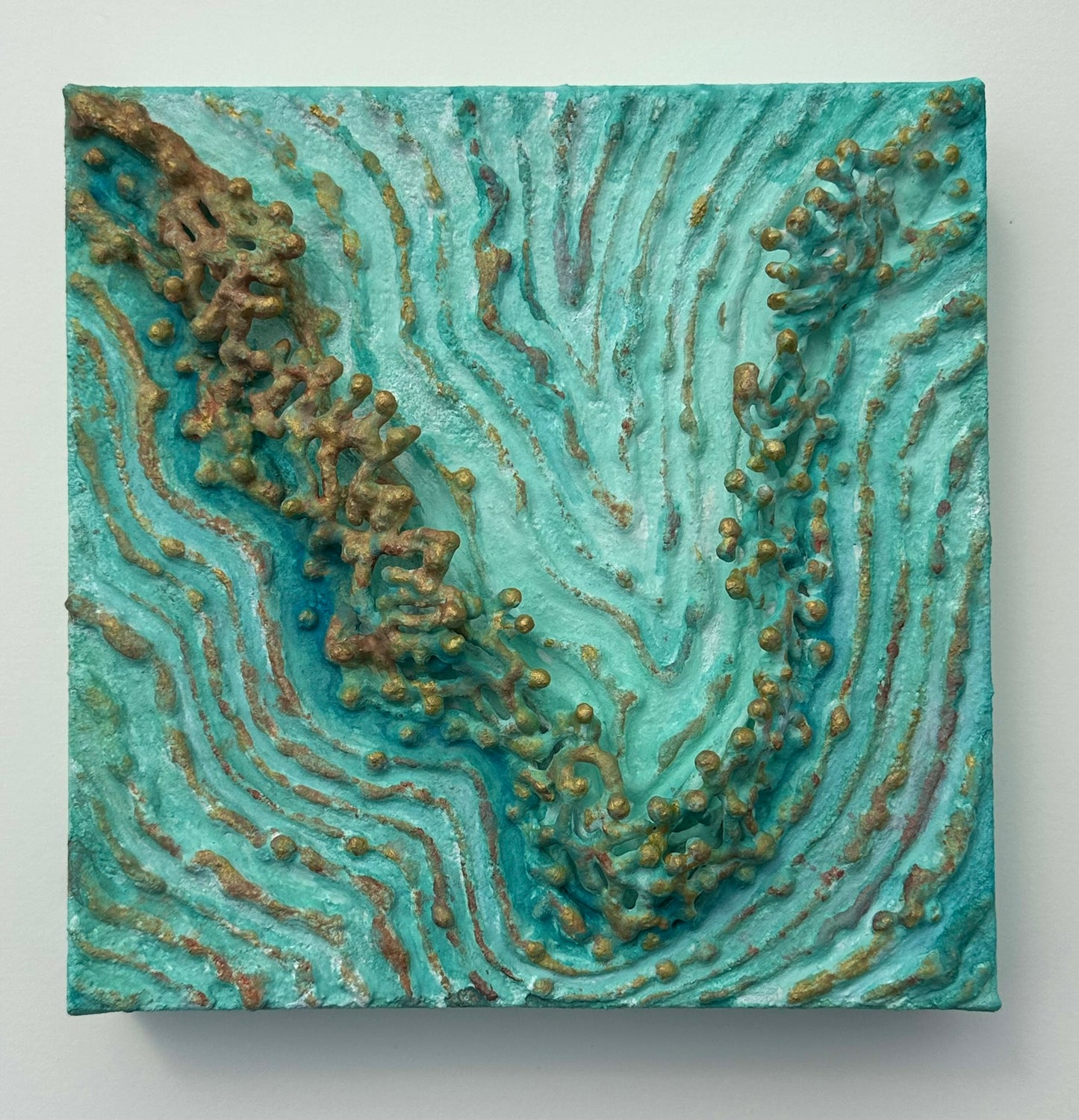 TIDAL GROWTH