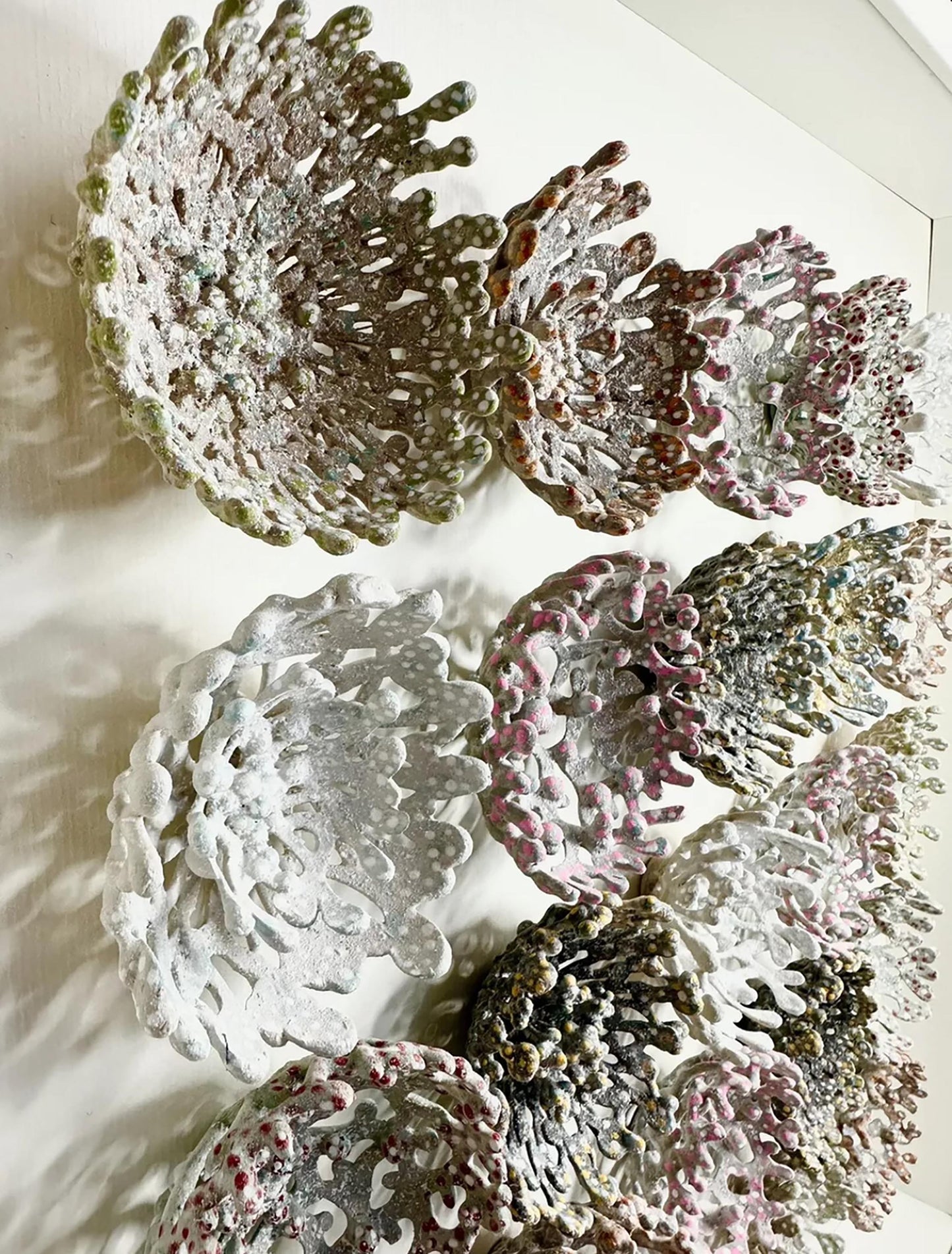 REEF BLOOM